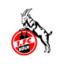 1. FC Köln