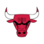 Chicago Bulls